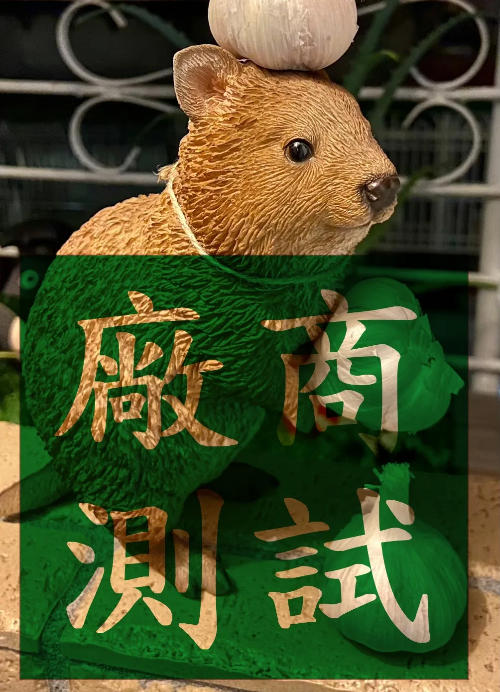 混種犬