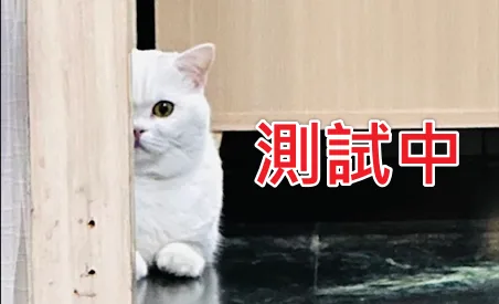 混種犬