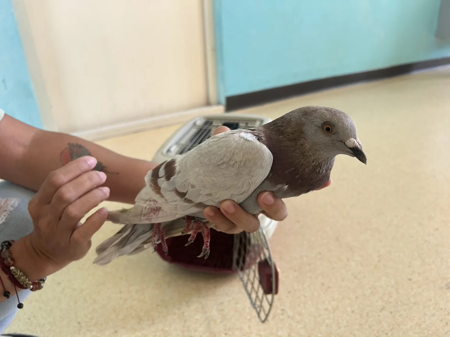 未確認