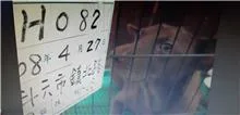 混種犬